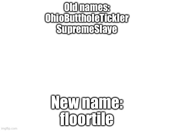 Old names:
OhioButtholeTickler
SupremeSlaye; New name:
floortile | made w/ Imgflip meme maker