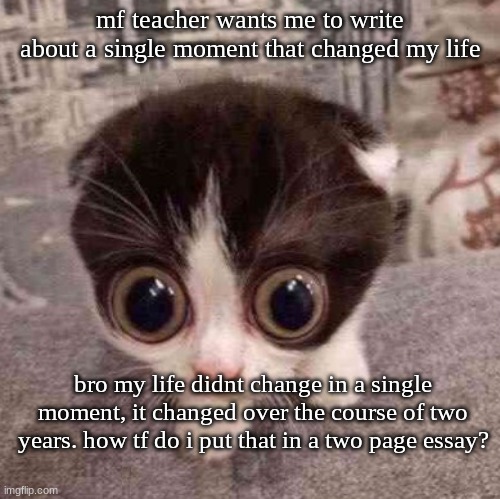 cat | mf teacher wants me to write about a single moment that changed my life; bro my life didnt change in a single moment, it changed over the course of two years. how tf do i put that in a two page essay? | image tagged in cat | made w/ Imgflip meme maker