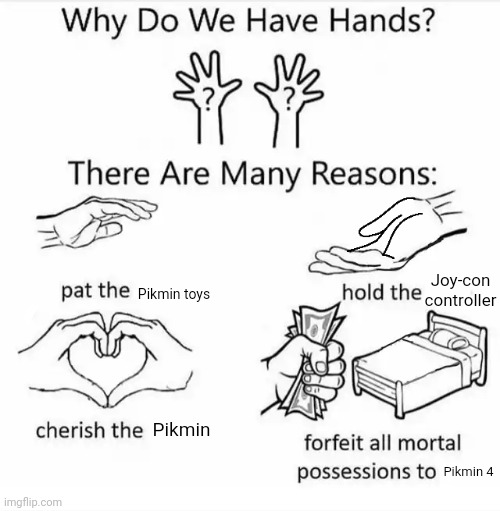 Why do we have hands? (all blank) | Joy-con controller; Pikmin toys; Pikmin; Pikmin 4 | image tagged in why do we have hands all blank | made w/ Imgflip meme maker