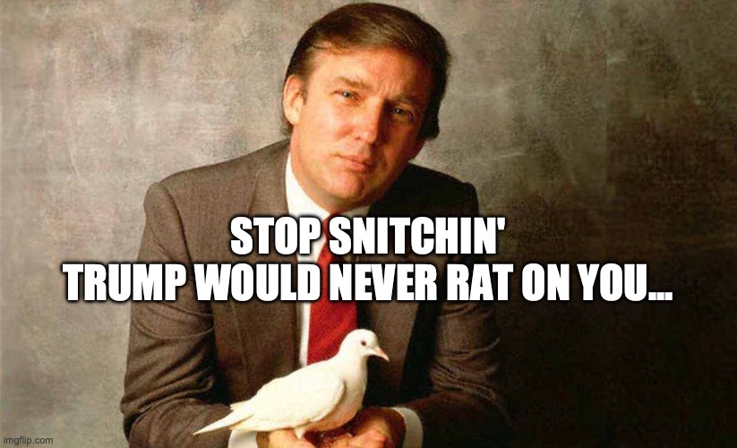 Stop Snitchin' | STOP SNITCHIN'
TRUMP WOULD NEVER RAT ON YOU... | image tagged in trump dove | made w/ Imgflip meme maker