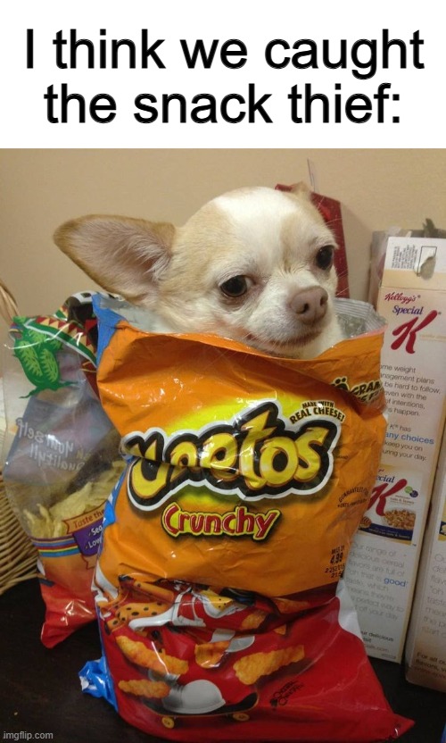 He's been caught red-pawed lol | I think we caught the snack thief: | made w/ Imgflip meme maker
