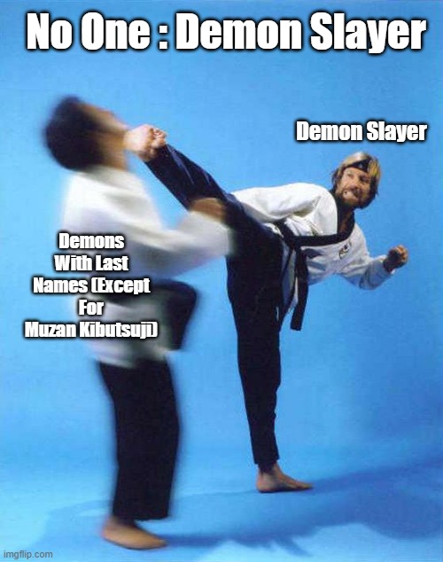 If I'm Wrong Tell Me In The Comments | No One : Demon Slayer; Demon Slayer; Demons With Last Names (Except For Muzan Kibutsuji) | image tagged in roundhouse kick chuck norris | made w/ Imgflip meme maker