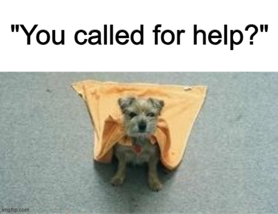 Rare footage of a super-dog :] | "You called for help?" | made w/ Imgflip meme maker