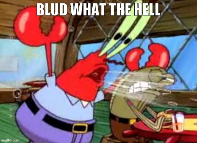 mr krabs yells | BLUD WHAT THE HELL | image tagged in mr krabs yells,blud | made w/ Imgflip meme maker