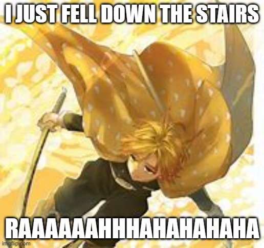 20 FRAMES PER SECOND | I JUST FELL DOWN THE STAIRS; RAAAAAAHHHAHAHAHAHA | image tagged in 20 frames per second | made w/ Imgflip meme maker
