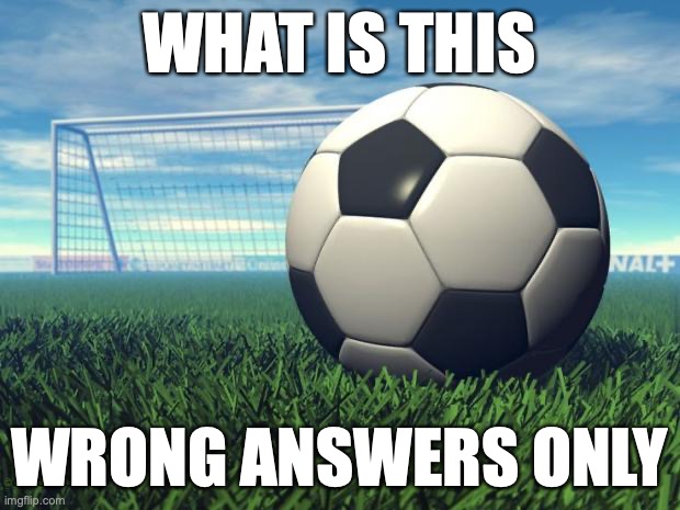 football | WHAT IS THIS; WRONG ANSWERS ONLY | image tagged in football | made w/ Imgflip meme maker