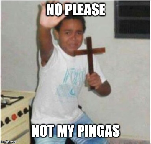 Begone Satan | NO PLEASE NOT MY PINGAS | image tagged in begone satan | made w/ Imgflip meme maker