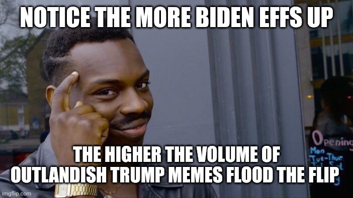 Roll Safe Think About It Meme | NOTICE THE MORE BIDEN EFFS UP THE HIGHER THE VOLUME OF OUTLANDISH TRUMP MEMES FLOOD THE FLIP | image tagged in memes,roll safe think about it | made w/ Imgflip meme maker