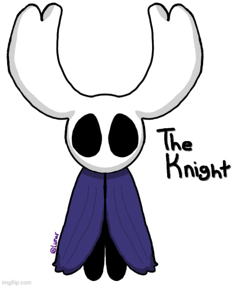 Made a little test drawing on IbisPaint X because I just got it gcjjgcjgc :] | image tagged in hollow knight | made w/ Imgflip meme maker