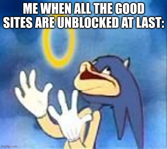 Imgflip is unblocked now too. Now I don't have to use it on my phone. | ME WHEN ALL THE GOOD SITES ARE UNBLOCKED AT LAST: | image tagged in joyful sonic | made w/ Imgflip meme maker