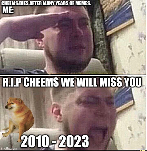 R.I.P Cheems | CHEEMS:DIES AFTER MANY YEARS OF MEMES. ME:; R.I.P CHEEMS WE WILL MISS YOU; 2010 - 2023 | image tagged in crying salute | made w/ Imgflip meme maker