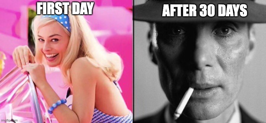 Jobhunting | AFTER 30 DAYS; FIRST DAY | image tagged in barbie oppenheimer | made w/ Imgflip meme maker