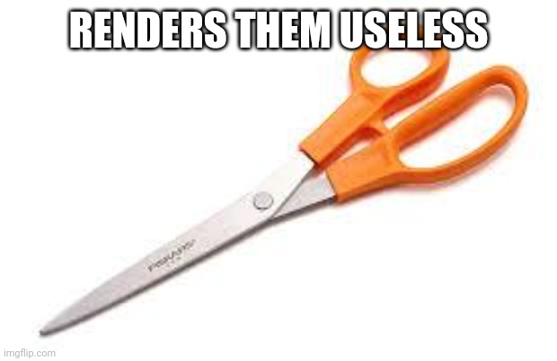 How to win an argument against a fun stream user | RENDERS THEM USELESS | image tagged in scumbag scissors | made w/ Imgflip meme maker