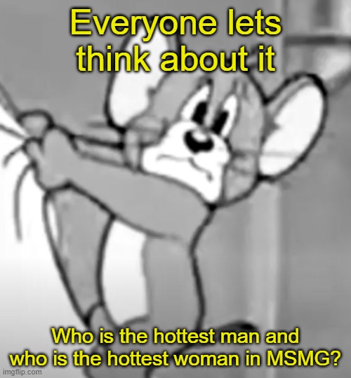awww the skrunkly | Everyone lets think about it; Who is the hottest man and who is the hottest woman in MSMG? | image tagged in awww the skrunkly | made w/ Imgflip meme maker
