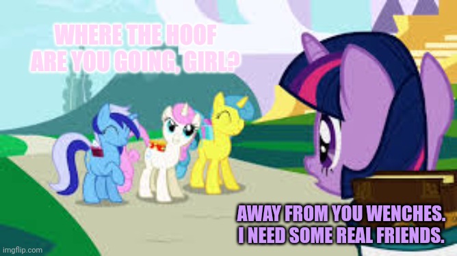 Princess of friendship my flank! | WHERE THE HOOF ARE YOU GOING, GIRL? AWAY FROM YOU WENCHES. I NEED SOME REAL FRIENDS. | image tagged in princess,of,friendship,twilight sparkle | made w/ Imgflip meme maker