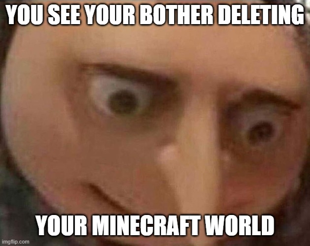 Minecraft | YOU SEE YOUR BOTHER DELETING; YOUR MINECRAFT WORLD | image tagged in gru meme | made w/ Imgflip meme maker