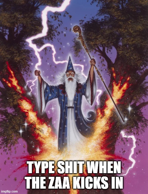 Blue Rasberry type shit | TYPE SHIT WHEN THE ZAA KICKS IN | image tagged in funny,wizard,shadow wizard money gang | made w/ Imgflip meme maker