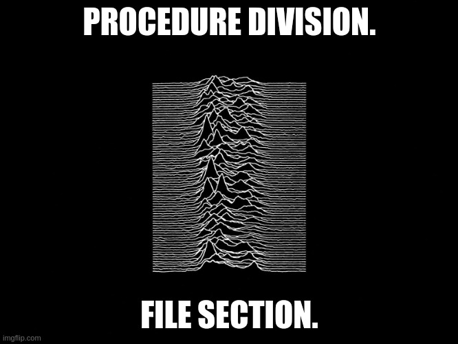 Joy Division | PROCEDURE DIVISION. FILE SECTION. | image tagged in joy division | made w/ Imgflip meme maker