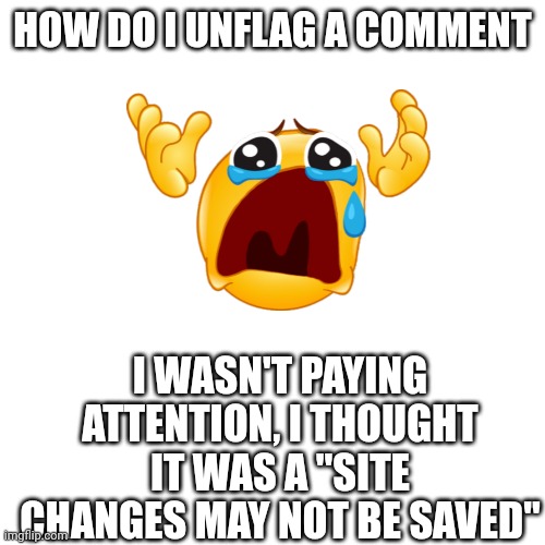 I want to unflag | HOW DO I UNFLAG A COMMENT; I WASN'T PAYING ATTENTION, I THOUGHT IT WAS A "SITE CHANGES MAY NOT BE SAVED" | image tagged in help | made w/ Imgflip meme maker