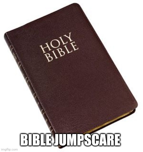 Holy Bible | BIBLE JUMPSCARE | image tagged in holy bible | made w/ Imgflip meme maker