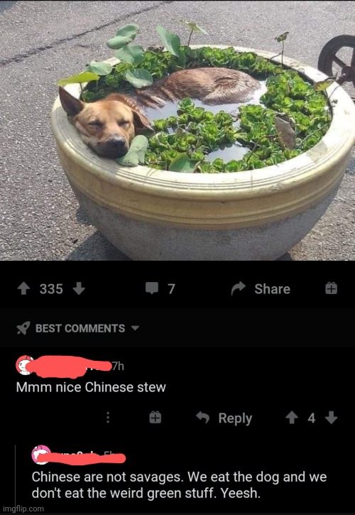 #3,332 | image tagged in comments,cursed,china,dogs,stew,so cute | made w/ Imgflip meme maker