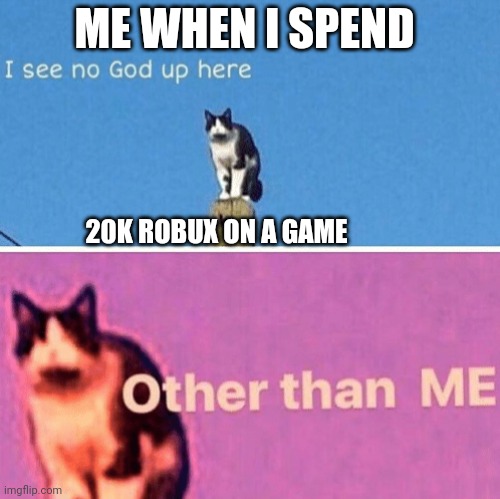 Hail pole cat | ME WHEN I SPEND; 20K ROBUX ON A GAME | image tagged in hail pole cat | made w/ Imgflip meme maker