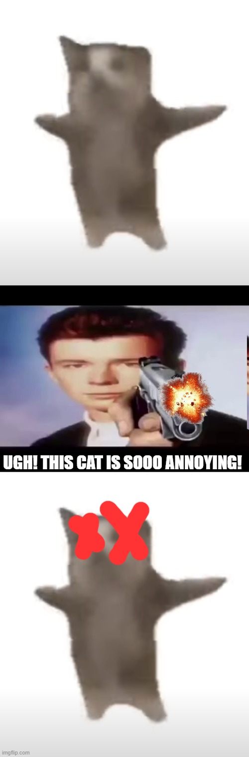 UGH! THIS CAT IS SOOO ANNOYING! | image tagged in rick with gun | made w/ Imgflip meme maker