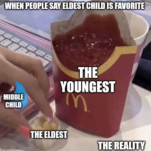 No offense but.... | WHEN PEOPLE SAY ELDEST CHILD IS FAVORITE; THE YOUNGEST; MIDDLE CHILD; THE ELDEST; THE REALITY | image tagged in ketchup with a side of fries | made w/ Imgflip meme maker
