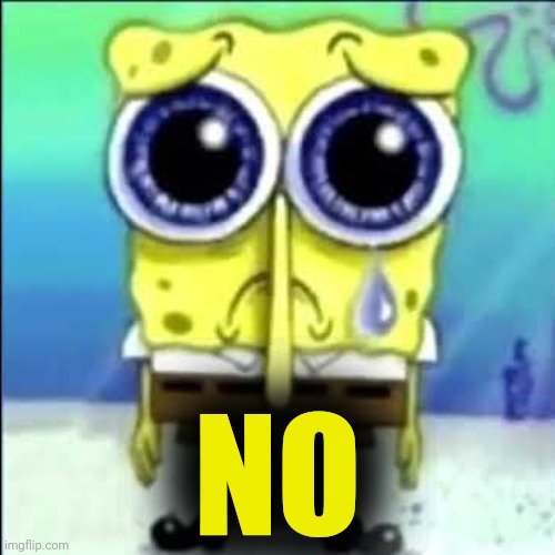 No | NO | image tagged in sad spongebob,no | made w/ Imgflip meme maker