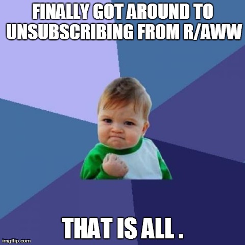 Success Kid Meme | FINALLY GOT AROUND TO UNSUBSCRIBING FROM R/AWW THAT IS ALL . | image tagged in memes,success kid | made w/ Imgflip meme maker
