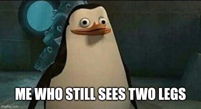 Confused Private Penguin | ME WHO STILL SEES TWO LEGS | image tagged in confused private penguin | made w/ Imgflip meme maker