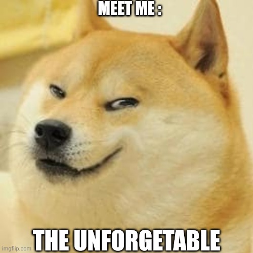 cheems evil smile | MEET ME :; THE UNFORGETABLE | image tagged in cheems evil smile | made w/ Imgflip meme maker