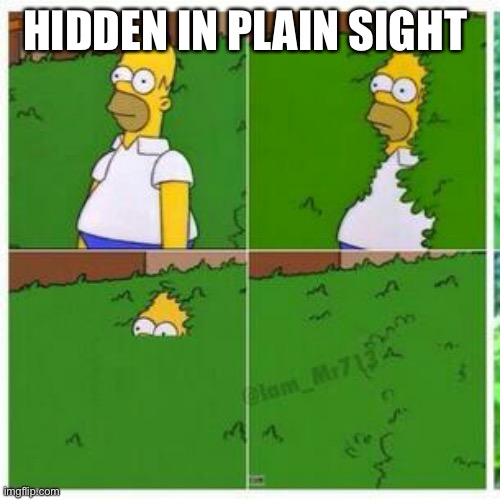 HR | HIDDEN IN PLAIN SIGHT | image tagged in homer hides | made w/ Imgflip meme maker