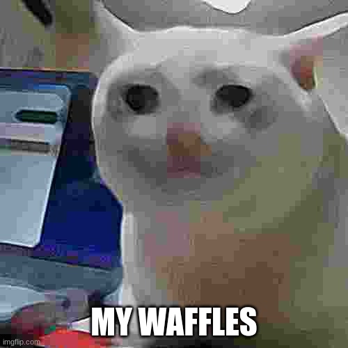 Blows up pancakes with mind (we need this meme back) | MY WAFFLES | image tagged in crying cat | made w/ Imgflip meme maker