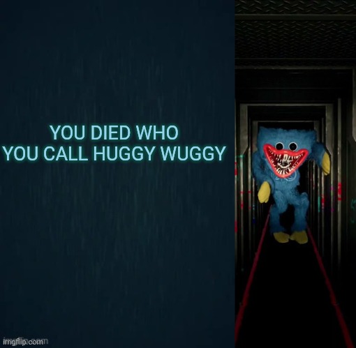 YOU DIED WHO YOU CALL HUGGY WUGGY | image tagged in guiding light,poppy playtime | made w/ Imgflip meme maker