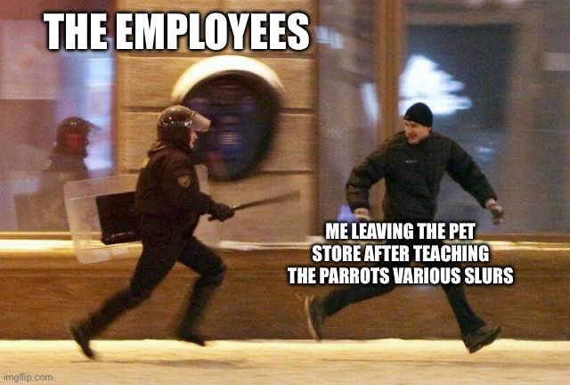 That didn’t happen in real life by the way | THE EMPLOYEES; ME LEAVING THE PET STORE AFTER TEACHING THE PARROTS VARIOUS SLURS | image tagged in police chasing guy | made w/ Imgflip meme maker