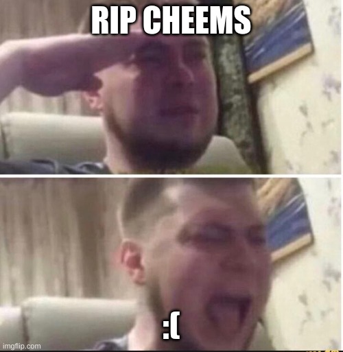 RIP CHEEMS :( | image tagged in crying salute | made w/ Imgflip meme maker