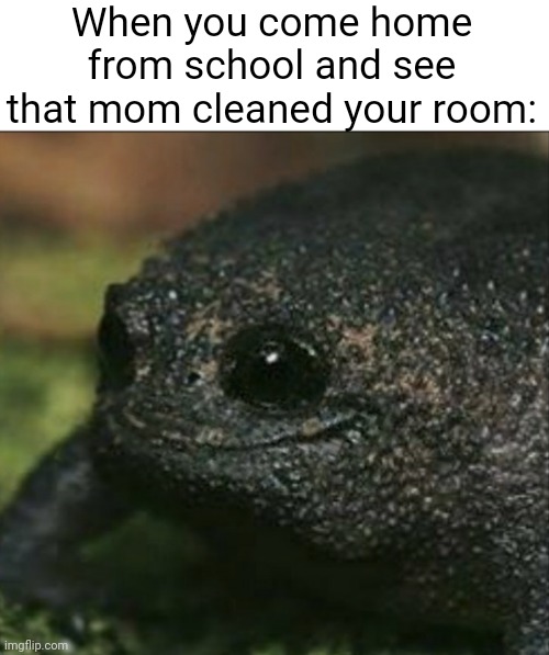 Meme #3,347 | When you come home from school and see that mom cleaned your room: | image tagged in cute frog smile,memes,relatable,school,cleaning,moms | made w/ Imgflip meme maker