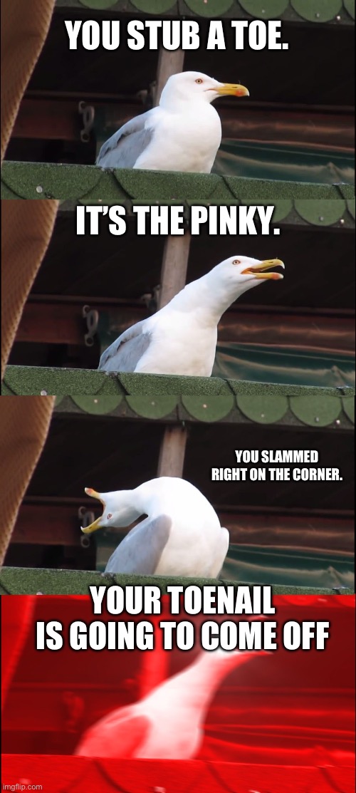Hate when this happens | YOU STUB A TOE. IT’S THE PINKY. YOU SLAMMED RIGHT ON THE CORNER. YOUR TOENAIL IS GOING TO COME OFF | image tagged in memes,inhaling seagull | made w/ Imgflip meme maker