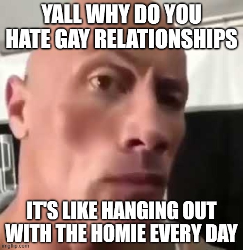 and less petty drama | YALL WHY DO YOU HATE GAY RELATIONSHIPS; IT'S LIKE HANGING OUT WITH THE HOMIE EVERY DAY | image tagged in the rock eyebrows | made w/ Imgflip meme maker