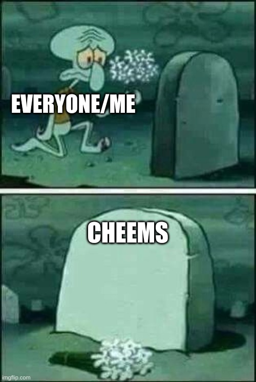 im crying irl help | EVERYONE/ME; CHEEMS | image tagged in grave spongebob,f in the chat | made w/ Imgflip meme maker