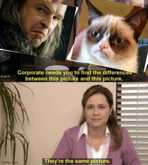 Grumpy Denethor | image tagged in corporate needs you to find the differences,grumpy cat,denethor,tolkien,lotr | made w/ Imgflip meme maker