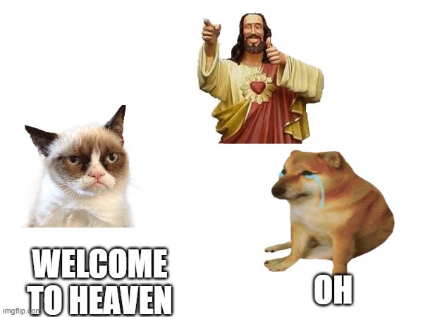 rip | WELCOME TO HEAVEN; OH | image tagged in cheems,sad | made w/ Imgflip meme maker