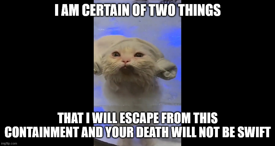 Cat Bath | I AM CERTAIN OF TWO THINGS; THAT I WILL ESCAPE FROM THIS CONTAINMENT AND YOUR DEATH WILL NOT BE SWIFT | image tagged in japanese pet wash machine,cat bath,cat revenge,cute suffering | made w/ Imgflip meme maker