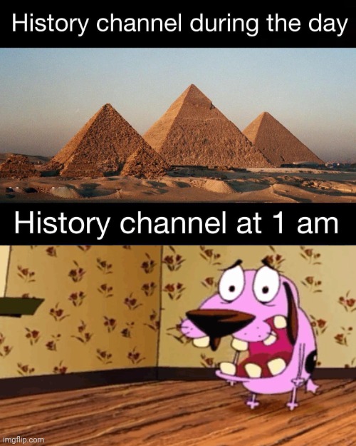 Featuring courage the cowardly dog on the history channel at 1 am | image tagged in history channel at 1 am,courage the cowardly dog | made w/ Imgflip meme maker
