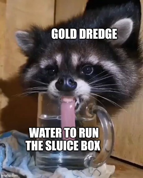 Need water to run the gold dredge's sluice box | GOLD DREDGE; WATER TO RUN THE SLUICE BOX | image tagged in raccoon drinks water | made w/ Imgflip meme maker