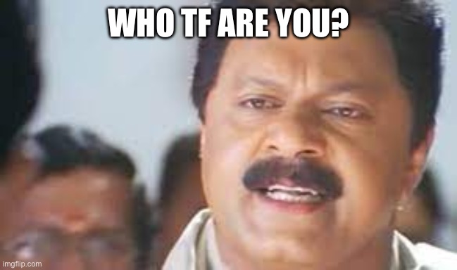 Who TF are you? | WHO TF ARE YOU? | image tagged in who tf are you | made w/ Imgflip meme maker