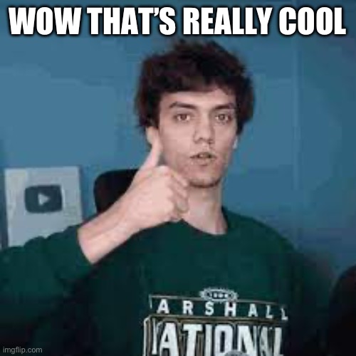 Wow that was really cool | WOW THAT’S REALLY COOL | image tagged in wow that was really cool | made w/ Imgflip meme maker