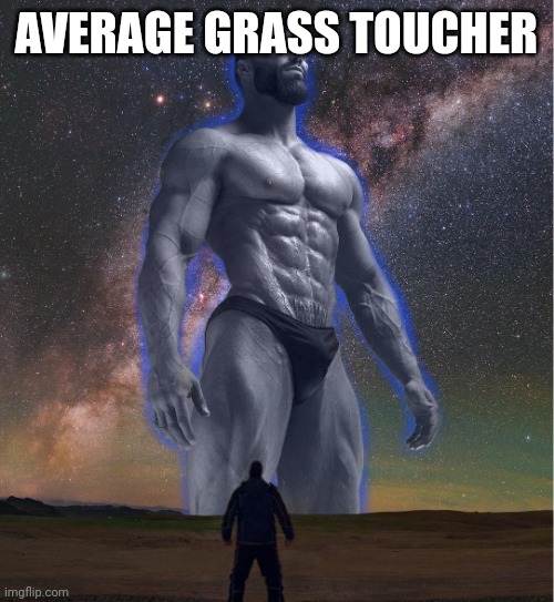 omega chad | AVERAGE GRASS TOUCHER | image tagged in omega chad | made w/ Imgflip meme maker