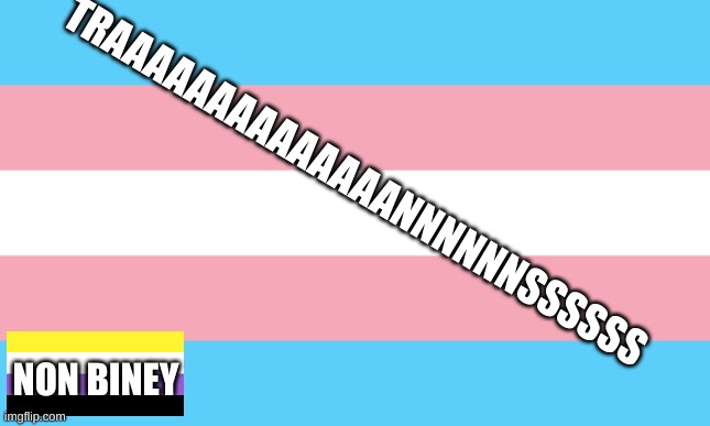 Trans Flag | TRAAAAAAAAAAAAAANNNNNNSSSSSS NON BINEY | image tagged in trans flag | made w/ Imgflip meme maker